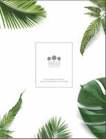 Treez-Catalogue